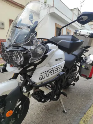Moto Triumph Tiger 800