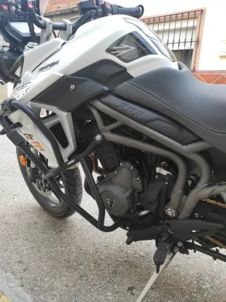 Moto Triumph Tiger 800