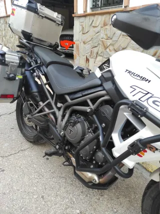 Moto Triumph Tiger 800