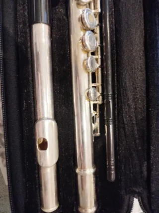 Flauta travesera Bressant con funda