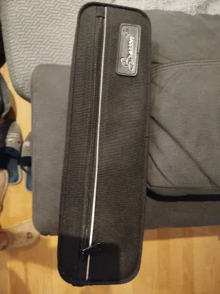 Flauta travesera Bressant con funda