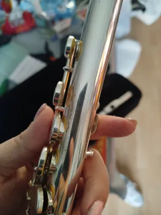 Flauta travesera Bressant con funda