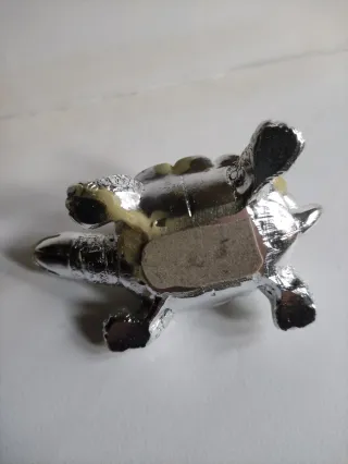 Tartaruga Bagutta smaltata