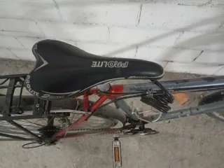 Bicicleta  roja y gris.