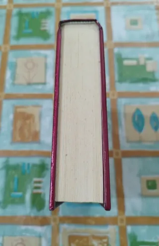 LIBRO DIARIO DE NIKKI 1. CRÓNICAS DE UNA VIDA MUY