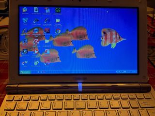 Toshiba NB 200 - Argento/Bianco