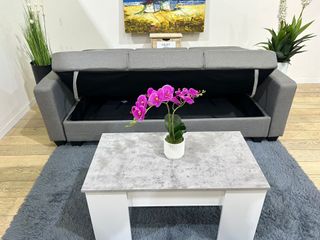 Sofá Cama Gris con Arcón