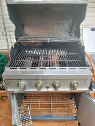 Barbacoa de gas 4 quemadores