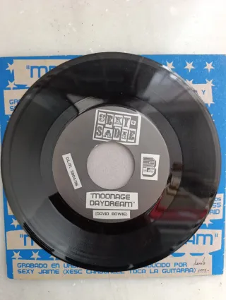 Sexy Sadie Mr. Nobody Vinilo