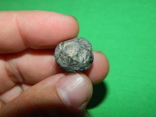 Bonito ponderal Ibero Romano circular 13,7 gramos.