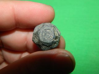 Bonito ponderal Ibero Romano circular 13,7 gramos.