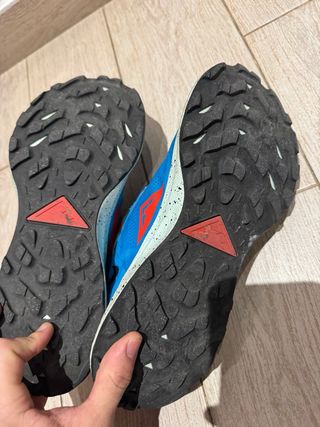 Nike Pegasus Trail 4 Talla 42