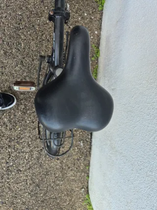 Bicicleta plegable Boomerang PS21