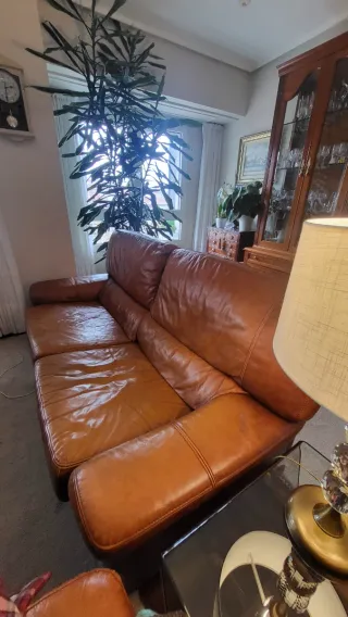 Sofá de piel marrón