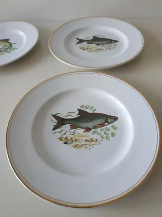 Vargas Segovia Platos de Porcelana Dorados