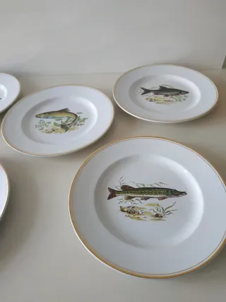 Vargas Segovia Platos de Porcelana Dorados