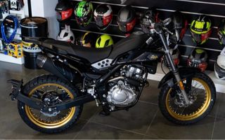 Rieju Tango 125 Scrambler, 500km