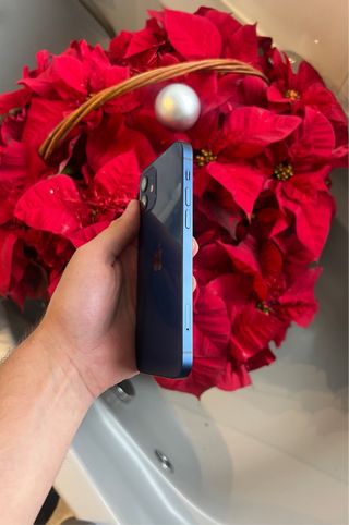 iPhone 12 Azul 128GB