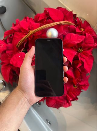 iPhone 12 Azul 128GB