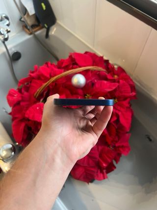 iPhone 12 Azul 128GB