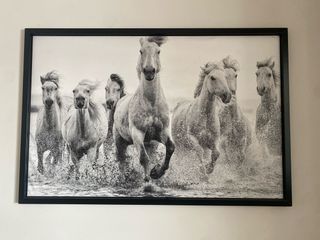 Cuadro Caballos Blanco y Negro
