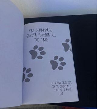 Distruggi questo diario