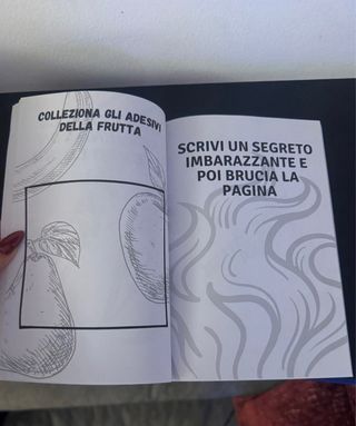 Distruggi questo diario