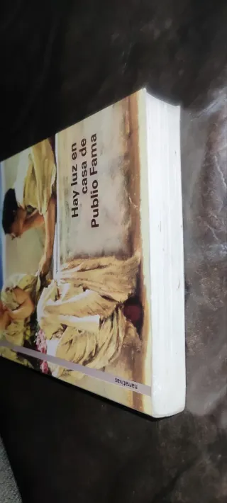 Hay luz en casa de publio fama