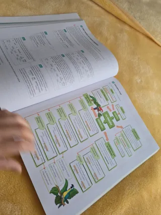 Lengua castellana y Literatura. 1 Bachillerato....