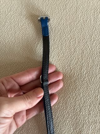 Collar para perro XS azul y plateado