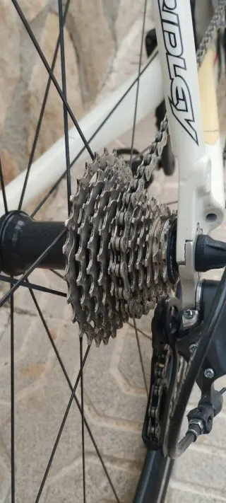 Bicicleta Carretera Ridley Fenix 2016