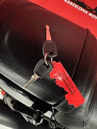 HARLEY DAVIDSON STREET ROD DEL AÑO 2019 !!!