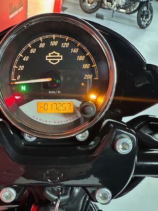 HARLEY DAVIDSON STREET ROD DEL AÑO 2019 !!!