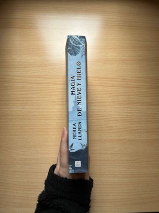 Magia de nieve y hielo