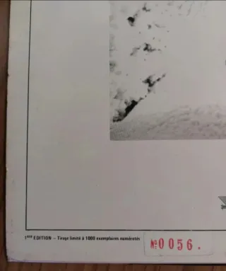 Norma Loy Psychic Altercation 12" Limited Edition