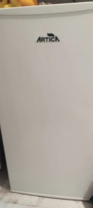 Nevera ARTICA