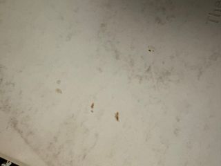 The Beatles - White Album - USA - Numerado - fotos