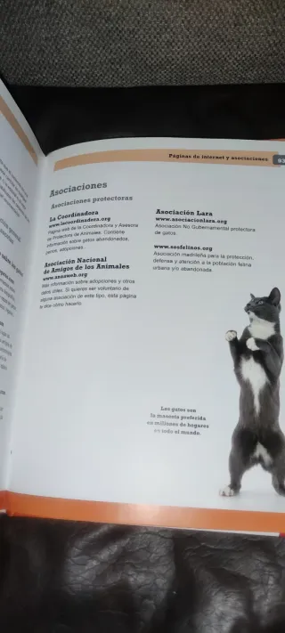 Cómo hablar gatuno (Spanish Edition)