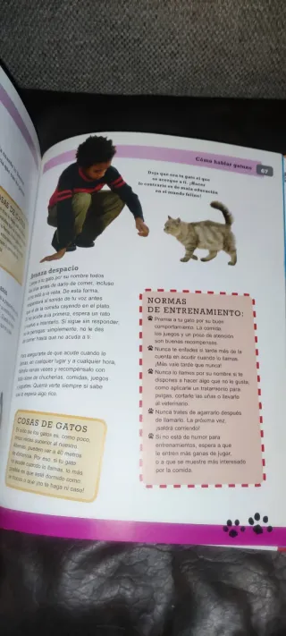 Cómo hablar gatuno (Spanish Edition)