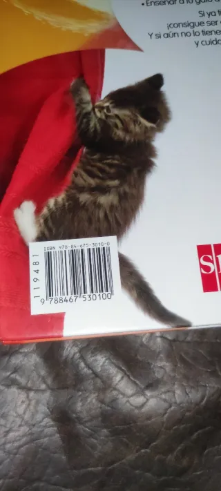 Cómo hablar gatuno (Spanish Edition)