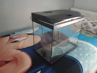 Pecera de cristal con tapa negra