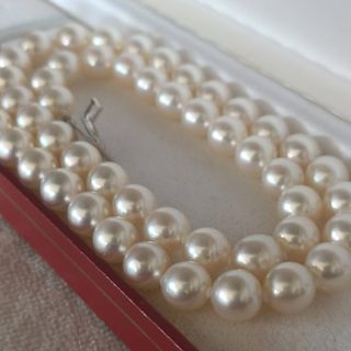 Collar Perlas Akoya Auténticas