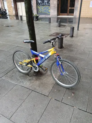 Bicicleta MTB Ruedas 24 Doble Suspensión