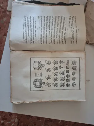 Ciencia del Blason 1858 - Tratado Completo