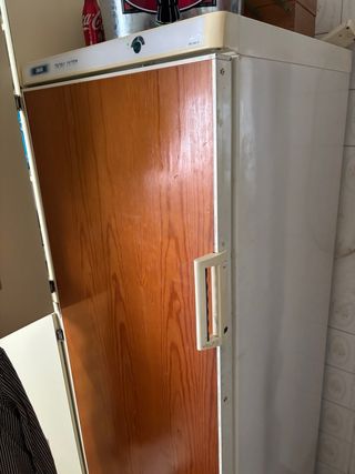 Frigorífico Zanussi Grande, con puerta panelada