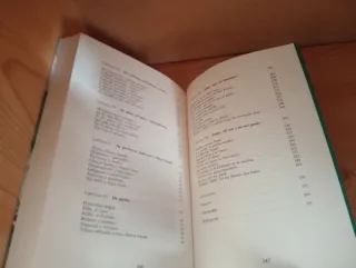 De jóvenes, bandas y tribus