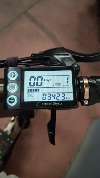 Patinete Eléctrico Speedway Pro