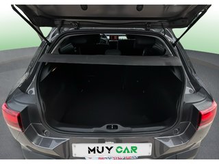 Citroen C4 Cactus BlueHDi 100 S&S C-Series 75 kW (102 CV)