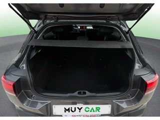 Citroen C4 Cactus BlueHDi 100 S&S C-Series 75 kW (102 CV)