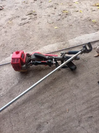 Vareadora de aceitunas